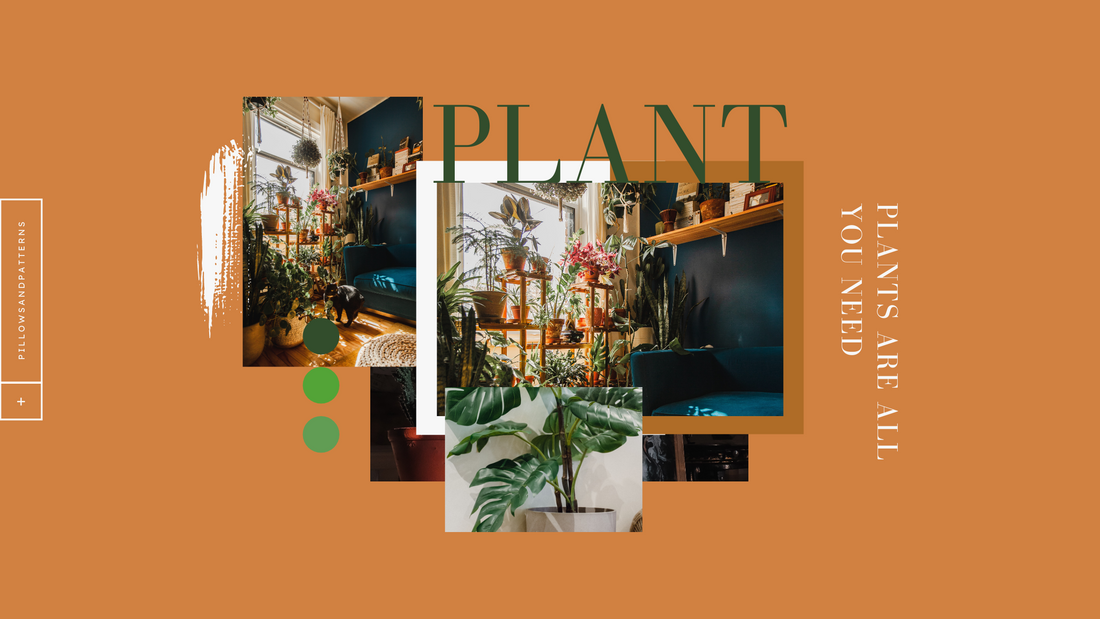 Decorating with plants inside the house