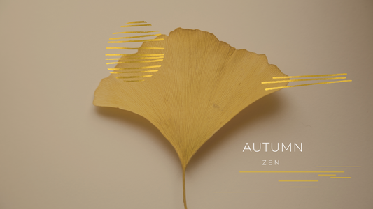 Lean into the new season with our Autumn Zen collection